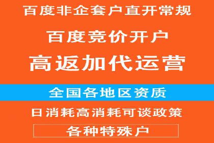 SEM运营策略案例分析