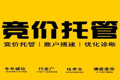 如何在sem百度竞价中实现ROI最大化？——案例分享